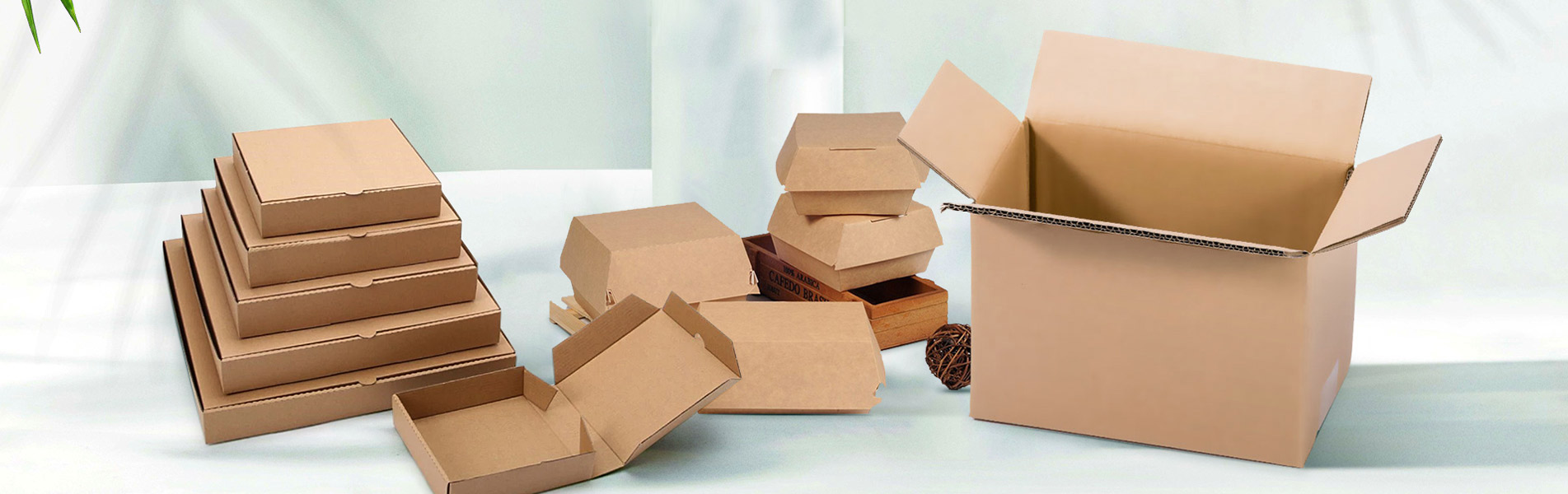 Carton Box Packing